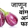 Benifits Of Eggplant | कॅन्सरला दूर ठेवते वांगे | जाणून घ्या, वांग्याचे अनेक फायदे