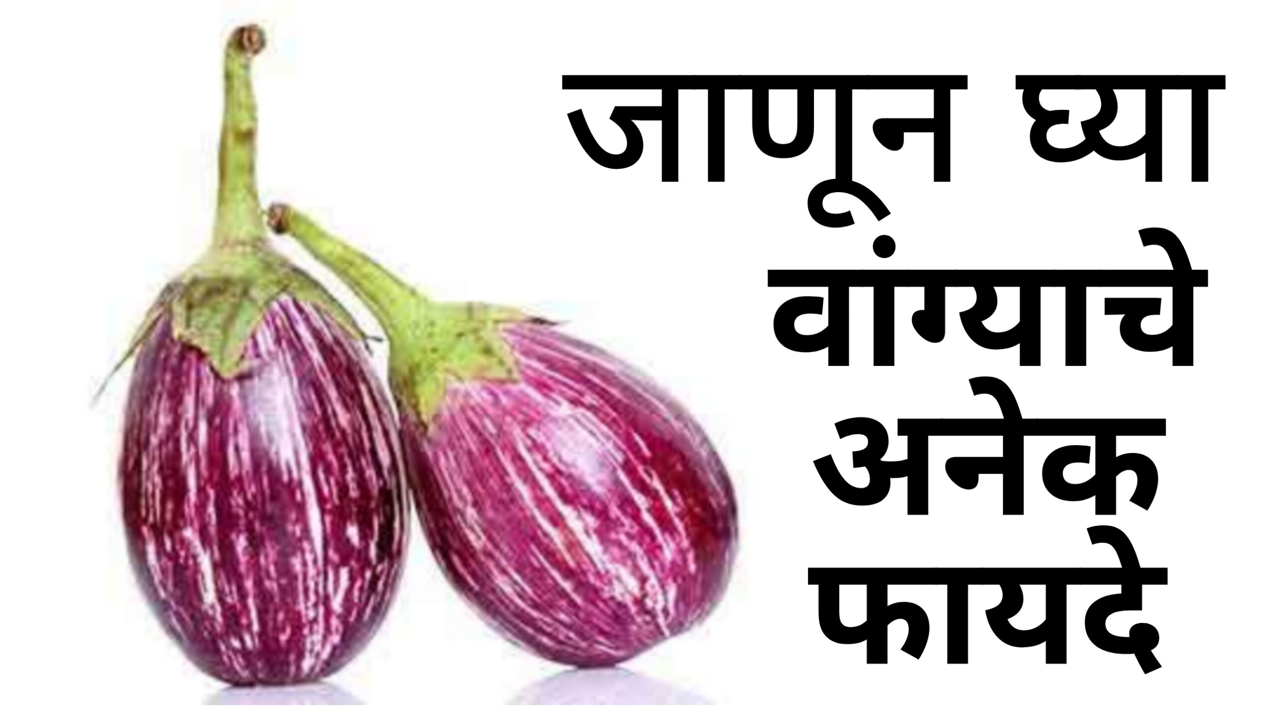 Benifits Of Eggplant | कॅन्सरला दूर ठेवते वांगे | जाणून घ्या, वांग्याचे अनेक फायदे